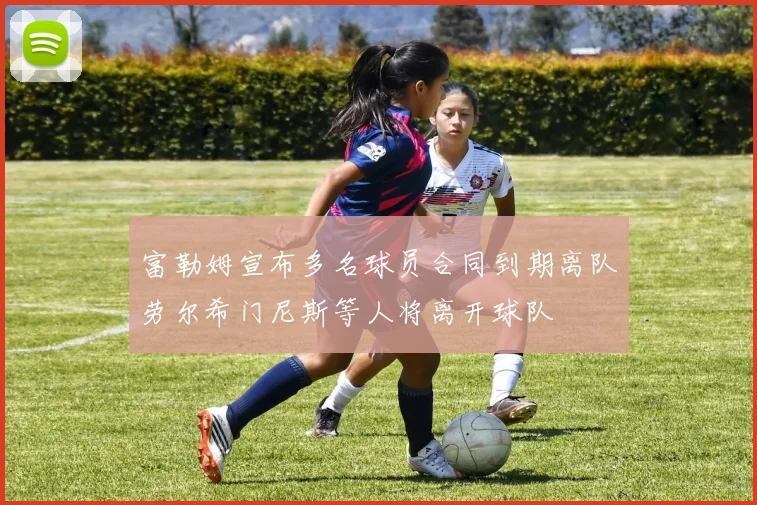 富勒姆宣布多名球员合同到期离队劳尔希门尼斯等人将离开球队